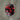 Mozambique Red Oval Garnet